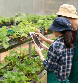 ravi garg, master software solutions, e-commerce industry, agricultural e-commerce, inventory management for seeds, fertilizers, and equipment, icon